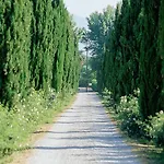 Fattoria Di Migliarino
