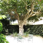 Fattoria Di Migliarino Gospodarstwo agroturystyczne