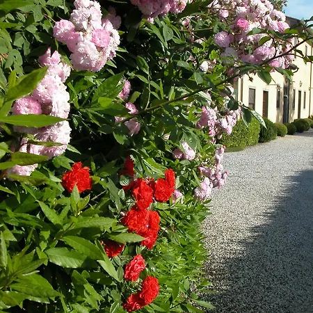 Gospodarstwo agroturystyczne Fattoria Di Migliarino Migliarino Pisano