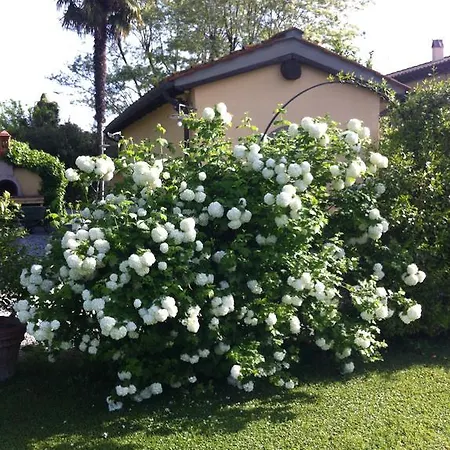 Fattoria Di Migliarino