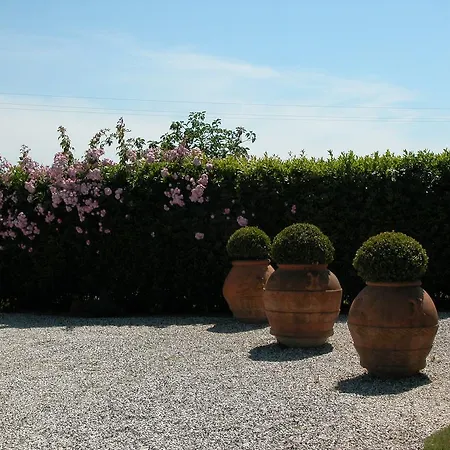 Alloggio per agriturismo Fattoria Di Migliarino *