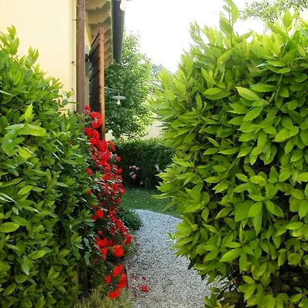 Fattoria Di Migliarino Gospodarstwo agroturystyczne